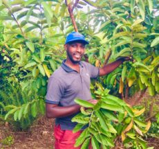 Farm Tours in Kenya That Teach Organic & Regenerative Farming