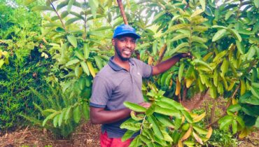 Farm Tours in Kenya That Teach Organic & Regenerative Farming