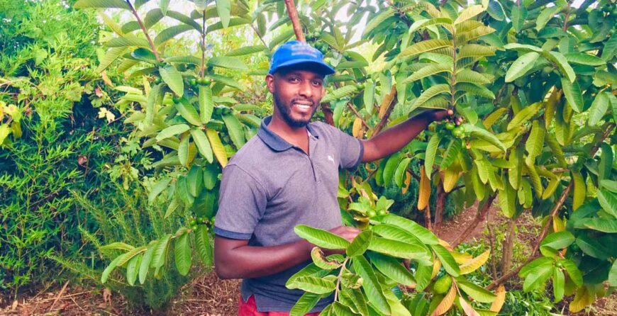 Farm Tours in Kenya That Teach Organic & Regenerative Farming