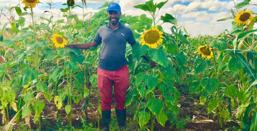 What Makes a Farm Tour Worth Visiting in Kenya