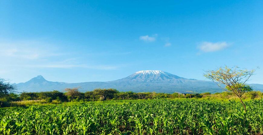 Farm Tours in Kenya During School Holidays