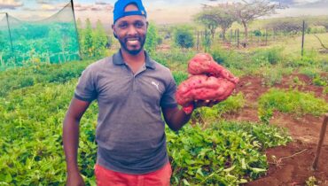 Farm Tours for Aspiring Farmers in Kenya