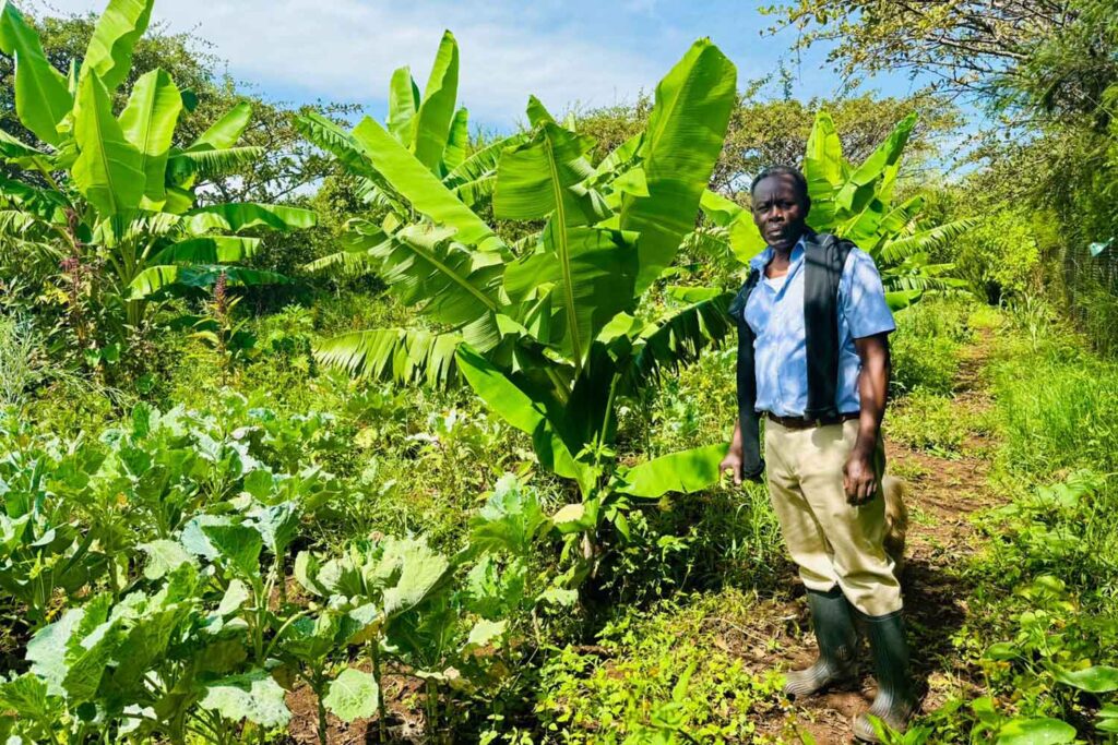 What You Can Learn from Farm Tours in Kenya
