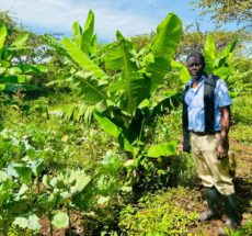 What You Can Learn from Farm Tours in Kenya