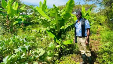 What You Can Learn from Farm Tours in Kenya