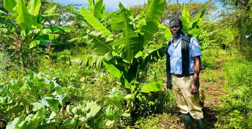 What You Can Learn from Farm Tours in Kenya