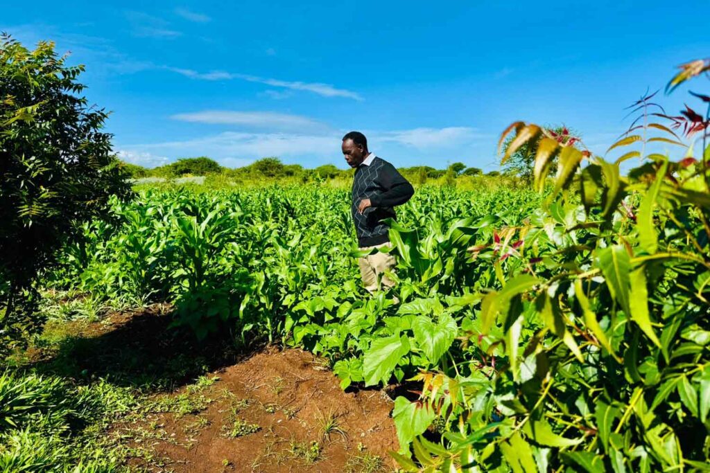 Sustainable Tourism in Kenya: Why Farm Tours Matter