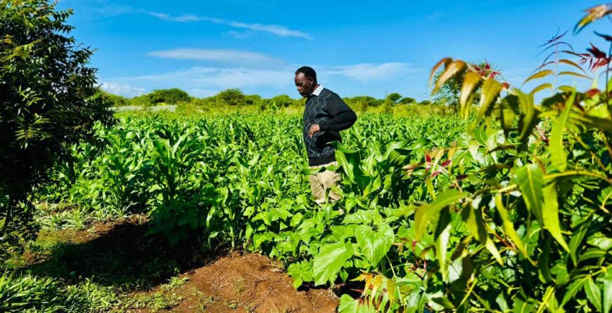 Sustainable Tourism in Kenya: Why Farm Tours Matter
