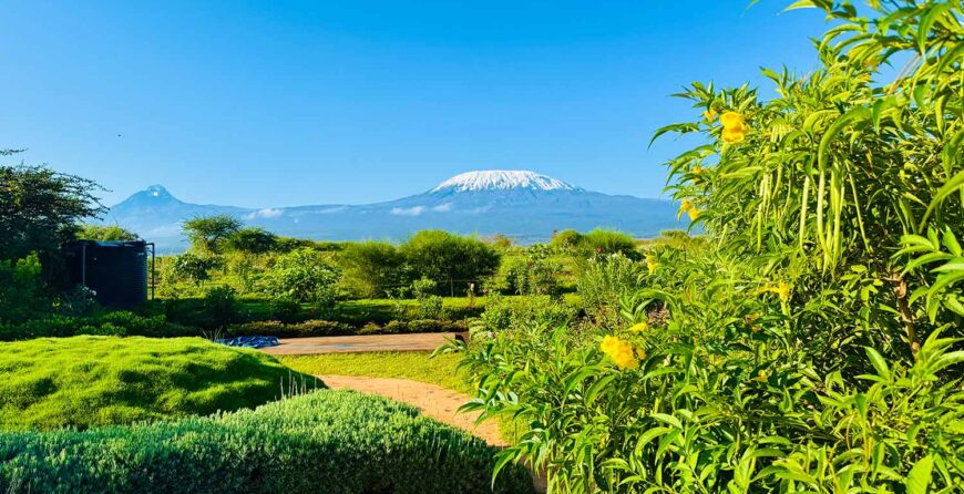 Self-Guided vs Guided Farm Tours in Kenya