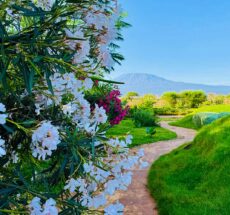 Last-Minute Farm Tour Getaways Near Nairobi