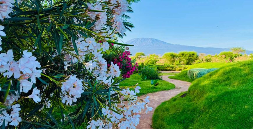 Last-Minute Farm Tour Getaways Near Nairobi