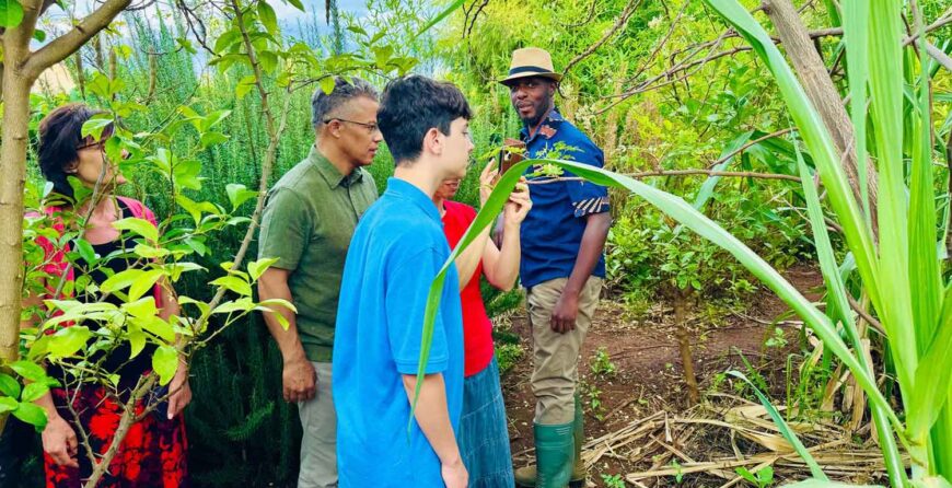 Things to Do in Kenya Besides Game Drives Featuring Farm Tours