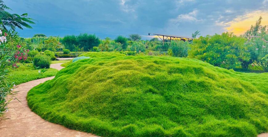 Rainy vs Dry Season Farm Tours in Kenya: What to Know