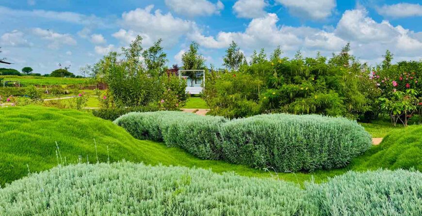 Farm Tours vs Cultural Villages in Kenya