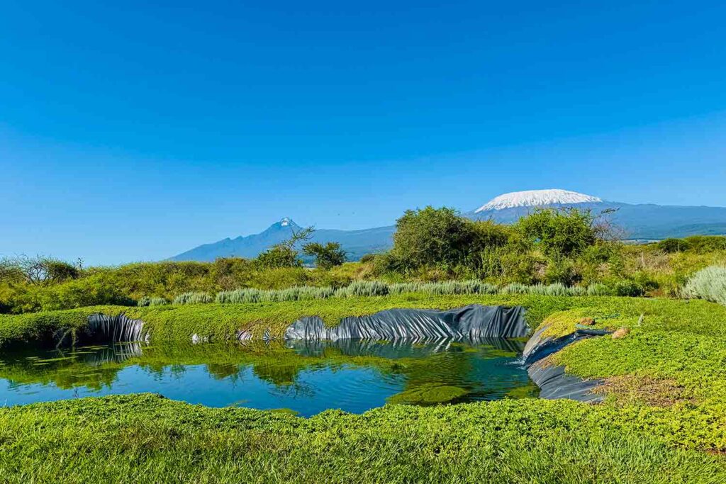 Eco-Friendly Farm Tours in Kenya for Conscious Travelers