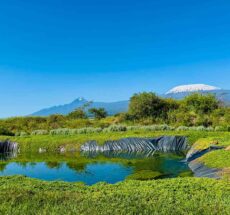 Eco-Friendly Farm Tours in Kenya for Conscious Travelers