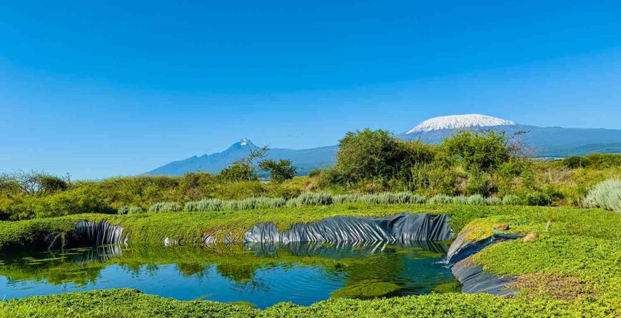 Eco-Friendly Farm Tours in Kenya for Conscious Travelers