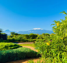 Best Place to Photograph Mt Kilimanjaro