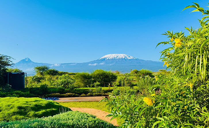 Best Place to Photograph Mt Kilimanjaro
