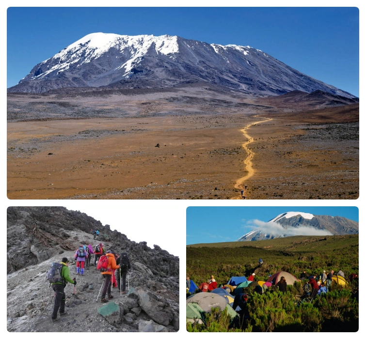 kilimanjaro-park-bg2
