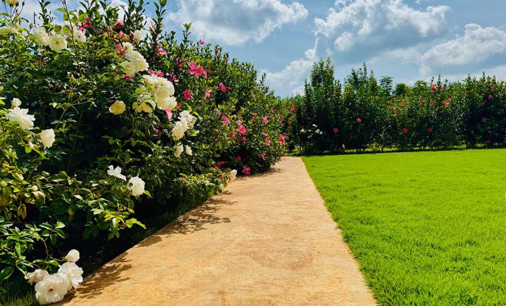 Top Farm Tour Experiences in Kenya for 2026