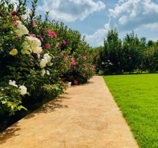 Top Farm Tour Experiences in Kenya for 2026