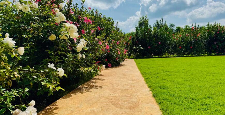 Top Farm Tour Experiences in Kenya for 2026