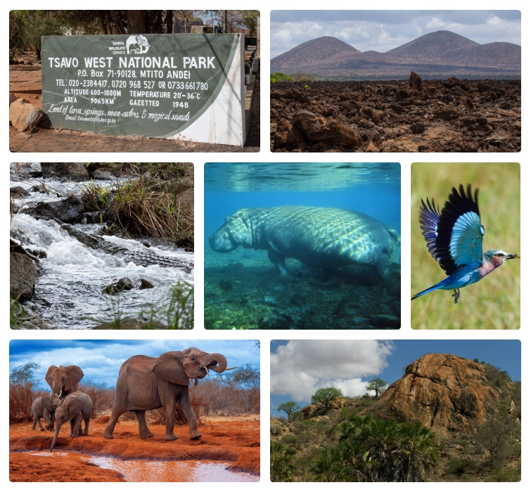 tsavo-west-bg4