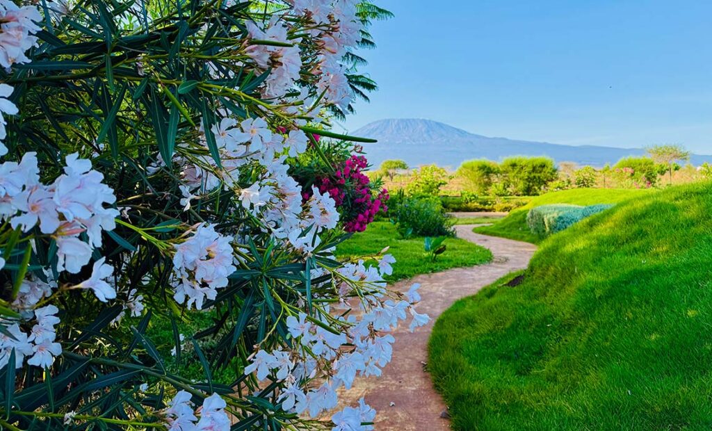 Affordable Weekend Farm Tours Near Nairobi