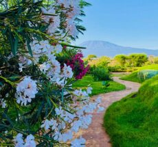 Affordable Weekend Farm Tours Near Nairobi