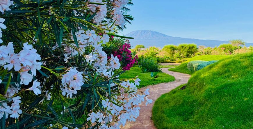 Affordable Weekend Farm Tours Near Nairobi