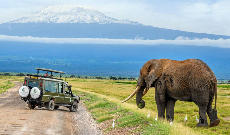 Farm Tours in Kenya for Nature Lovers & Slow Travel Enthusiasts