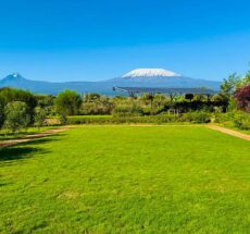 Farm Tours in Kenya