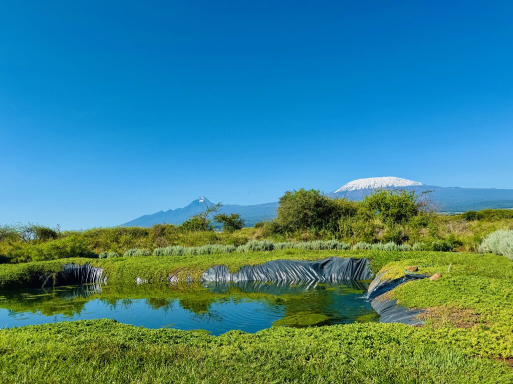 Why Natural Farming Methods