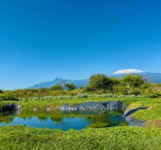 Why Natural Farming Methods