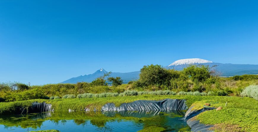 Farm Tours in Kenya: A Complete Guide to Nature’s Crest Farm