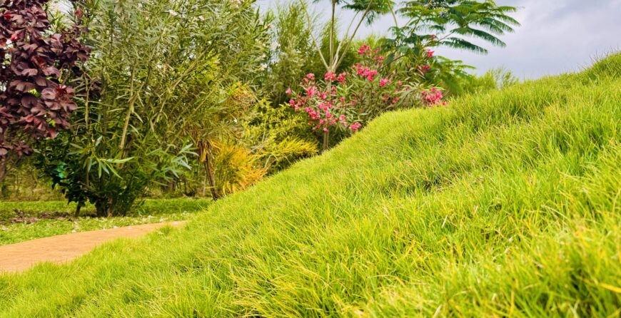 What to Do Near Amboseli