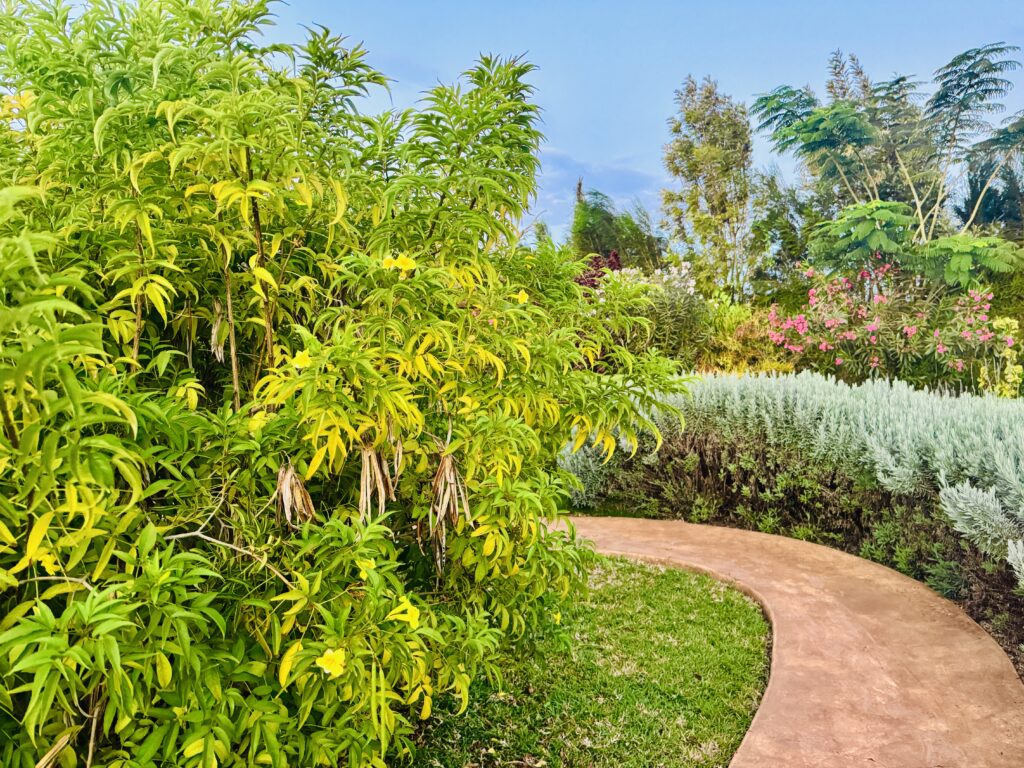 Hands-On Activities You’ll Enjoy on a Kenyan Farm Tour