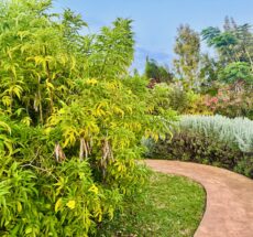 Hands-On Activities You’ll Enjoy on a Kenyan Farm Tour