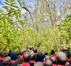 Why Farm Tours Are the Best Family Activity in Kenya (2025 Guide)
