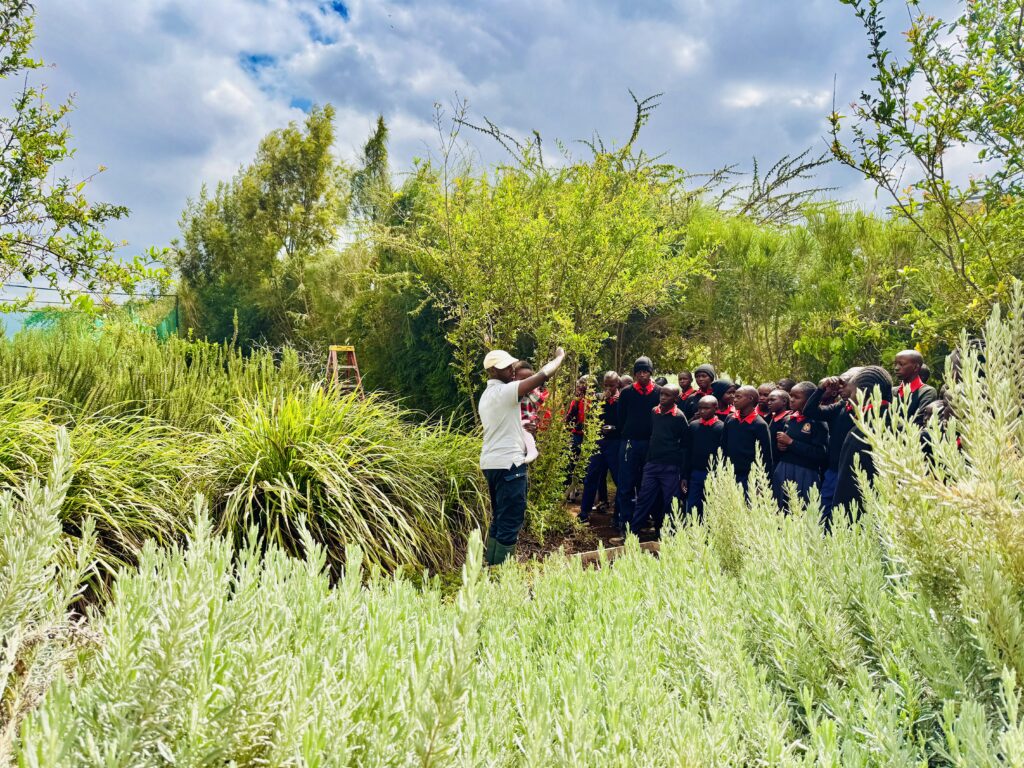 Top 10 Organic Farms in Kenya to Visit in 2025