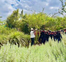 Top 10 Organic Farms in Kenya to Visit in 2025