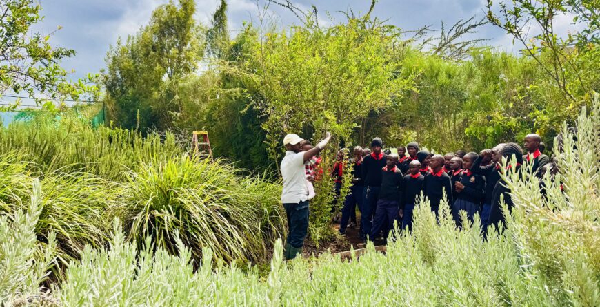 Top 10 Organic Farms in Kenya to Visit in 2025